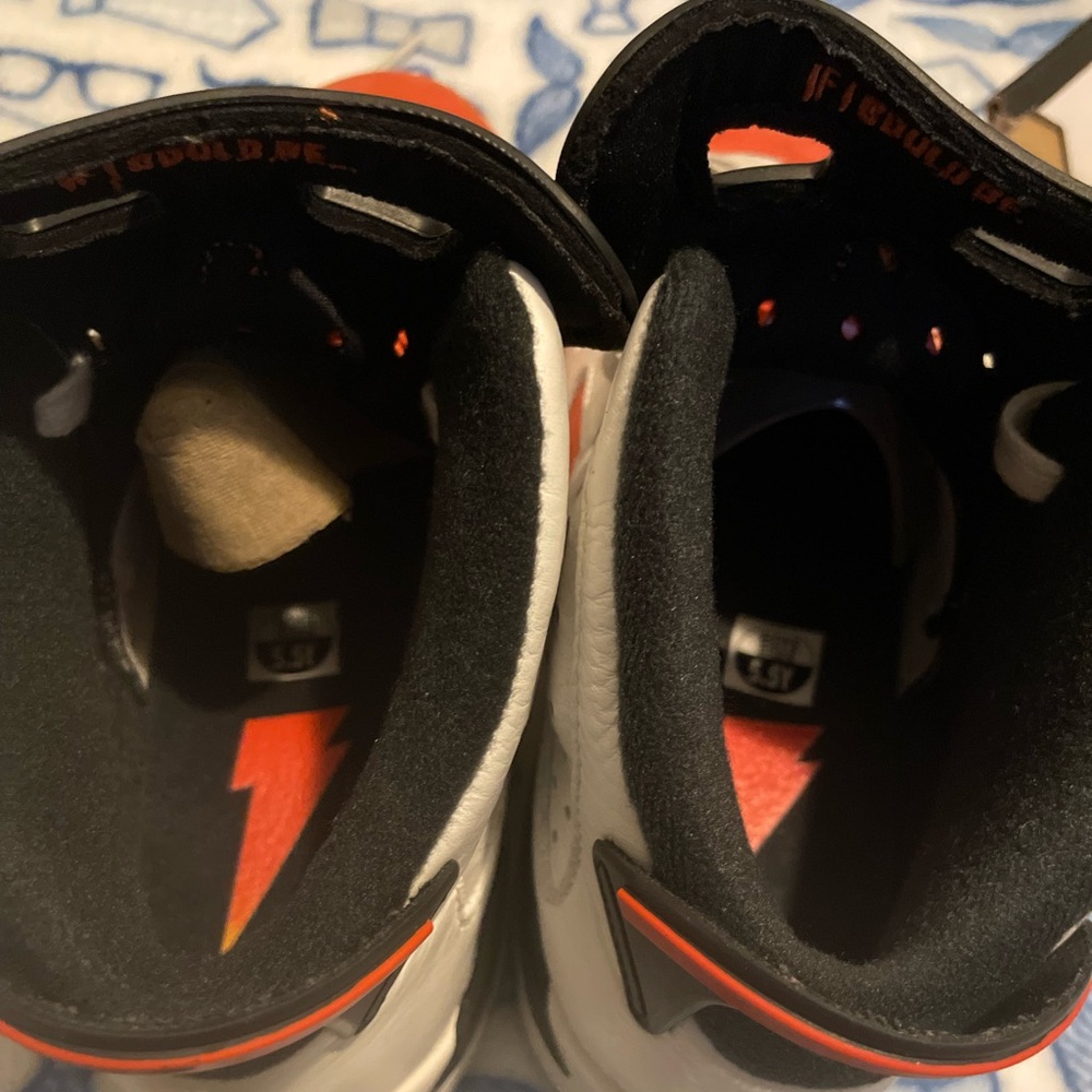 Jordan retro 6s Gatorade
